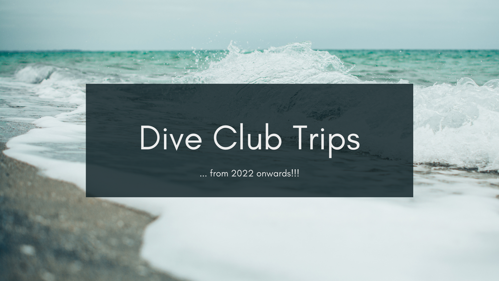 Dive Centre Club Trips from 2022 onwards!