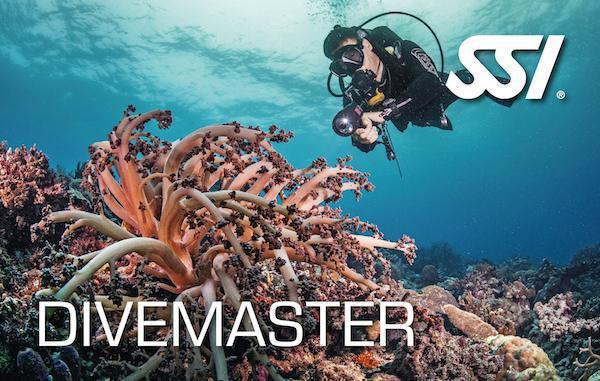 Divemaster-Pro Training- by SSI-Divemaster Scuba Nottingham