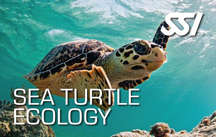 Ecology Specialties-Training- by SSI-Sea Turtle-Divemaster Scuba Nottingham