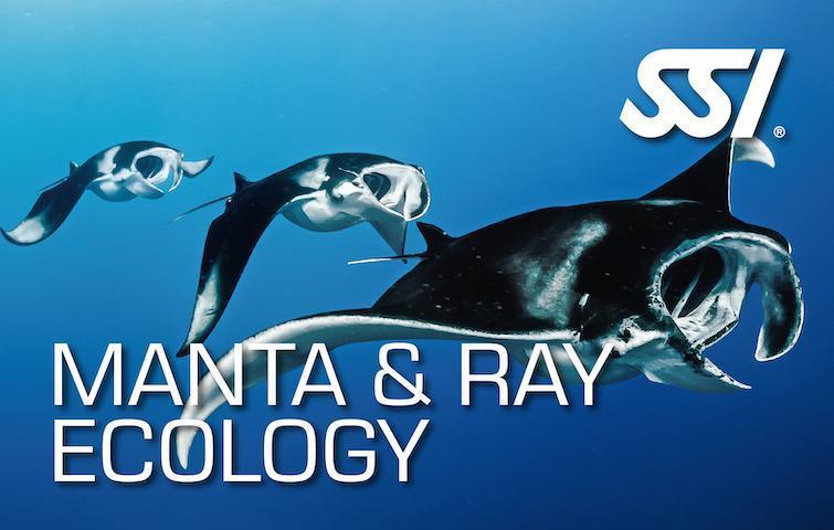 Ecology Specialties-Training- by SSI-Manta & Ray-Divemaster Scuba Nottingham