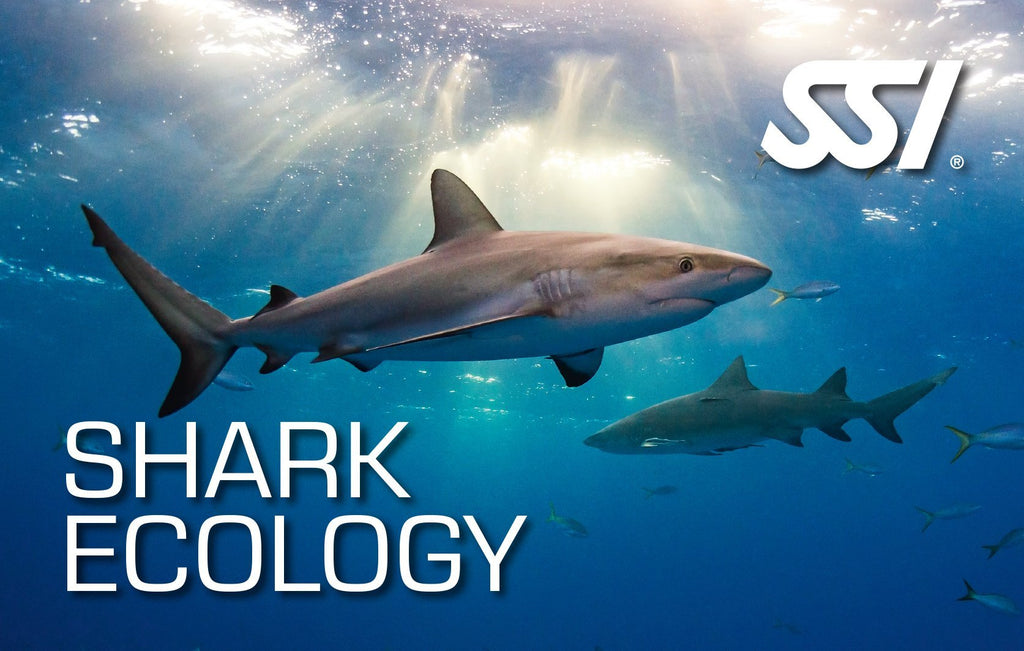Ecology Specialties-Training- by SSI-Shark Ecology-Divemaster Scuba Nottingham