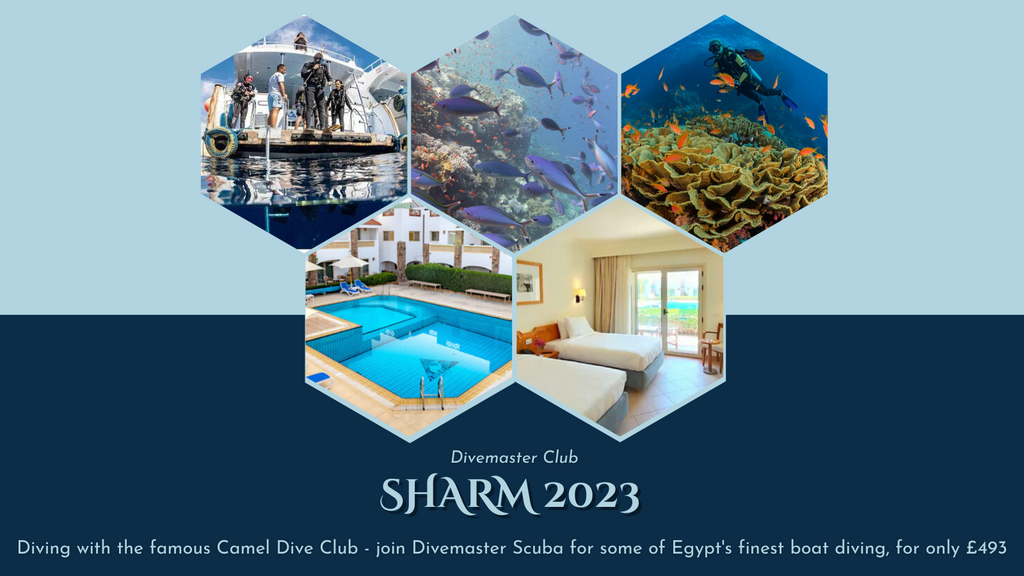 Sharm Red Sea with Camel Dive, 4th - 11th Feb 2023