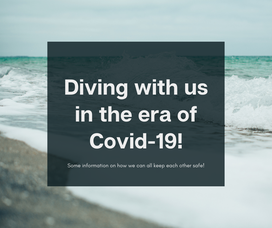Diving with us in the Era of Covid-19 (updated 25th Aug 2021)