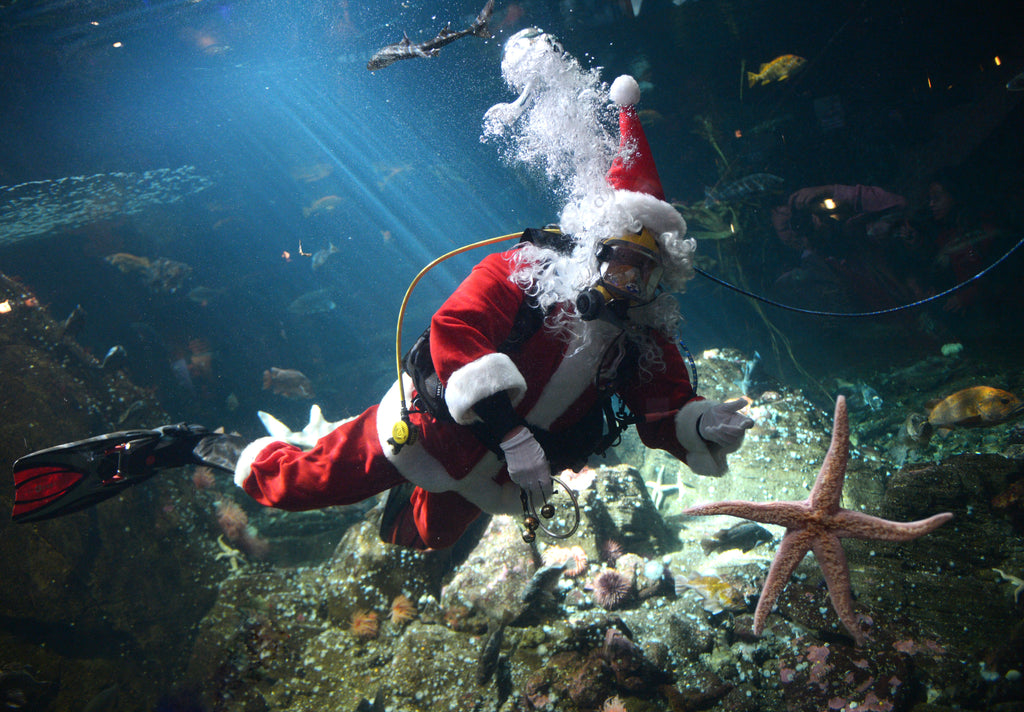Gift ideas for a diver or water lover this Christmas