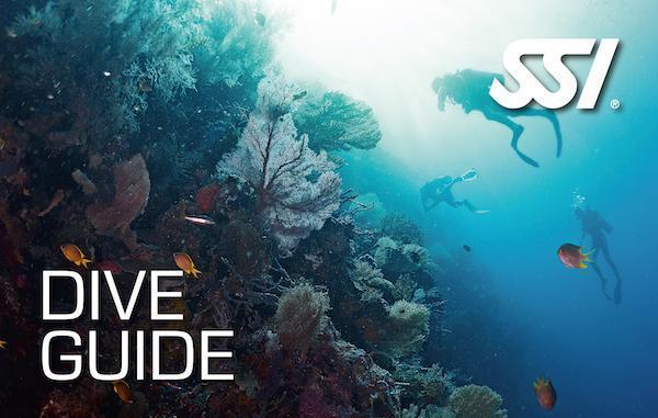 Dive Guide-Training- by SSI-Divemaster Scuba Nottingham