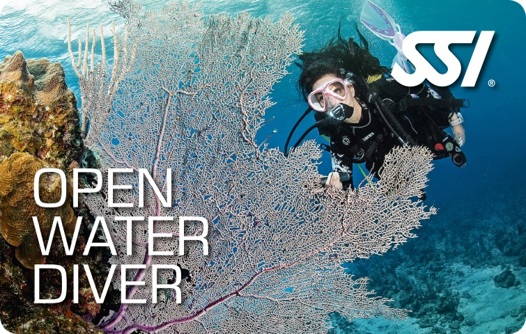 Open Water Diver (Start Today!)-Training- by SSI-Divemaster Scuba Nottingham