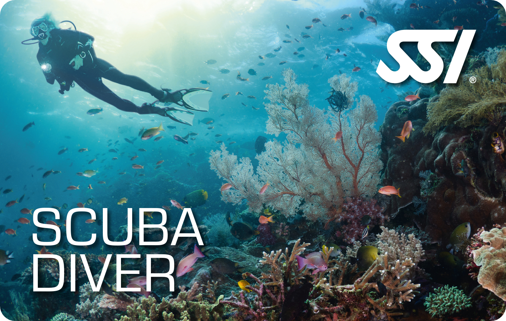 Scuba Diver-Training- by SSI-Divemaster Scuba Nottingham